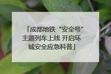 成都地铁“安全号”主题列车上线 开启环城安全应急科普