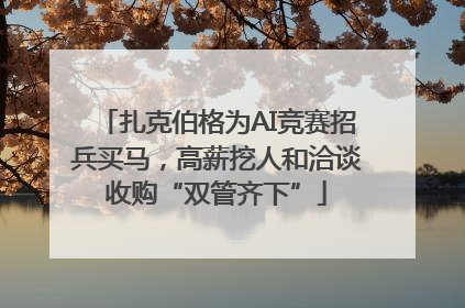 扎克伯格为AI竞赛招兵买马，高薪挖人和洽谈收购“双管齐下”