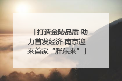 打造金陵品质 助力首发经济 南京迎来首家“胖东来”