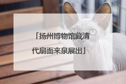 扬州博物馆藏清代扇面来泉展出