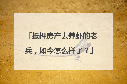 抵押房产去养虾的老兵，如今怎么样了？