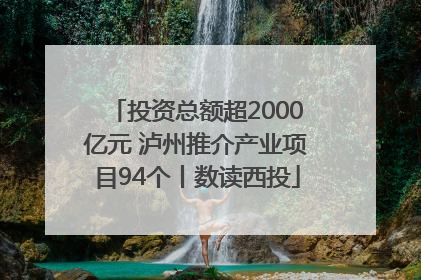 投资总额超2000亿元 泸州推介产业项目94个丨数读西投