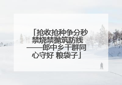 抢收抢种争分秒 禁烧禁抛筑防线——郎中乡干群同心守好 粮袋子