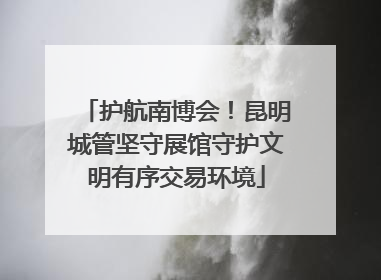 护航南博会！昆明城管坚守展馆守护文明有序交易环境