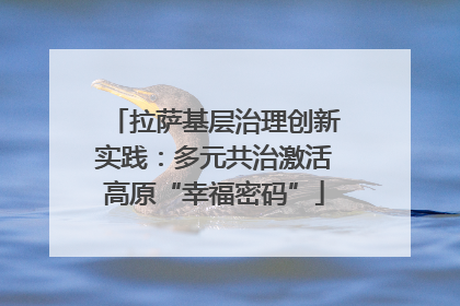 拉萨基层治理创新实践：多元共治激活高原“幸福密码”
