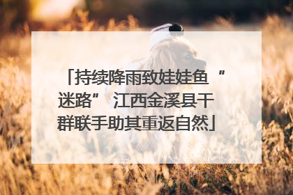 持续降雨致娃娃鱼“迷路” 江西金溪县干群联手助其重返自然