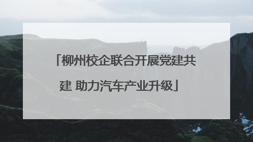 柳州校企联合开展党建共建 助力汽车产业升级