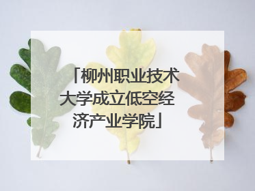 柳州职业技术大学成立低空经济产业学院