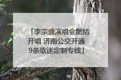 李宗盛演唱会燃情开唱 济南公交开通9条歌迷定制专线