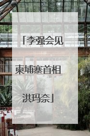 李强会见柬埔寨首相洪玛奈