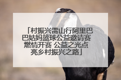 村振兴雷山行阿里巴巴姑妈篮球公益邀请赛燃情开赛 公益之光点亮乡村振兴之路