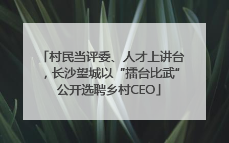 村民当评委、人才上讲台，长沙望城以“擂台比武” 公开选聘乡村CEO