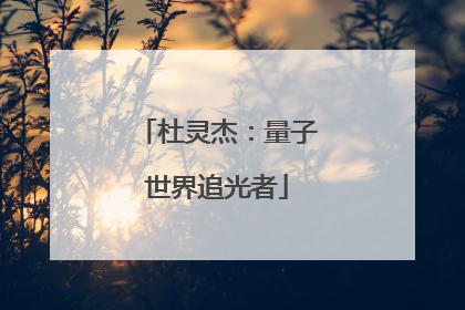 杜灵杰：量子世界追光者