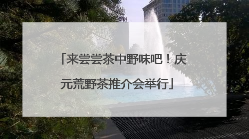 来尝尝茶中野味吧！庆元荒野茶推介会举行