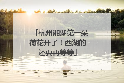杭州湘湖第一朵荷花开了！西湖的还要再等等