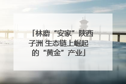 林麝“安家”陕西子洲 生态链上崛起的“黄金”产业