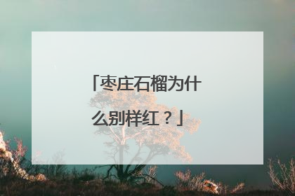 枣庄石榴为什么别样红？