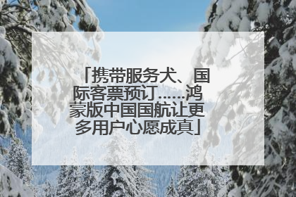 携带服务犬、国际客票预订……鸿蒙版中国国航让更多用户心愿成真