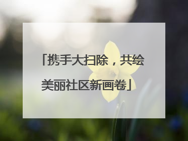 携手大扫除，共绘美丽社区新画卷