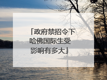 政府禁招令下 哈佛国际生受影响有多大