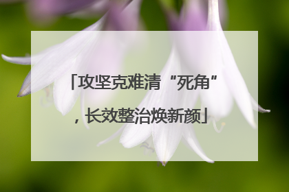 攻坚克难清“死角”，长效整治焕新颜