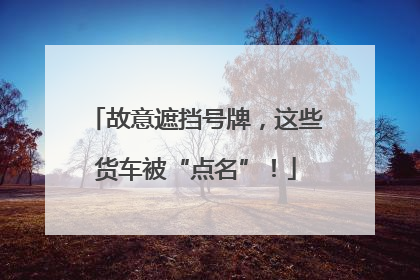 故意遮挡号牌，这些货车被“点名”！