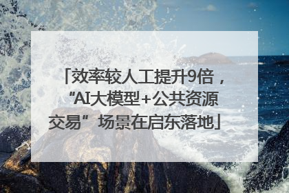 效率较人工提升9倍，“AI大模型+公共资源交易”场景在启东落地