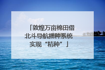 敦煌万亩棉田借北斗导航播种系统实现“精种”