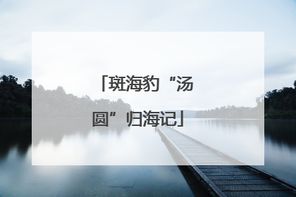 斑海豹“汤圆”归海记