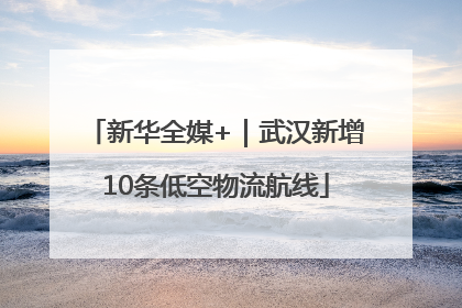 新华全媒+｜武汉新增10条低空物流航线