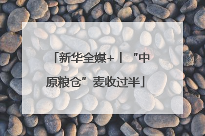 新华全媒+丨“中原粮仓”麦收过半