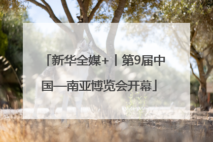 新华全媒+丨第9届中国—南亚博览会开幕