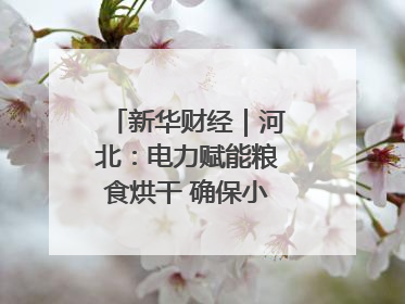 新华财经｜河北：电力赋能粮食烘干 确保小麦高质量归仓