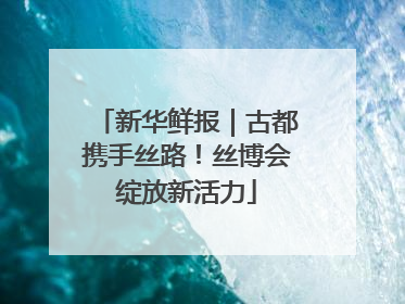 新华鲜报｜古都携手丝路！丝博会绽放新活力