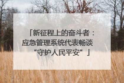 新征程上的奋斗者：应急管理系统代表畅谈“守护人民平安”