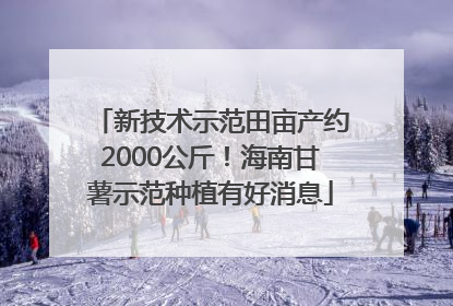 新技术示范田亩产约2000公斤！海南甘薯示范种植有好消息