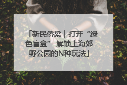 新民侨梁｜打开“绿色盲盒” 解锁上海郊野公园的N种玩法
