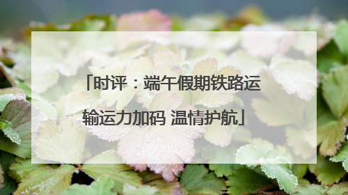 时评：端午假期铁路运输运力加码 温情护航