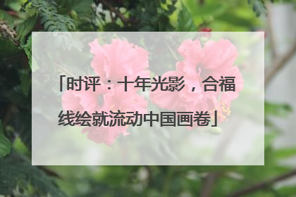 时评：十年光影，合福线绘就流动中国画卷