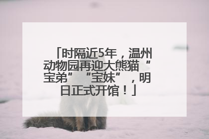 时隔近5年，温州动物园再迎大熊猫“宝弟”“宝妹”，明日正式开馆！
