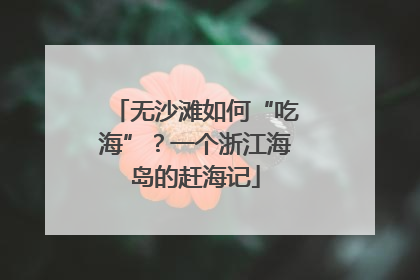 无沙滩如何“吃海”？一个浙江海岛的赶海记