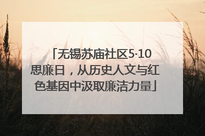 无锡苏庙社区5·10思廉日，从历史人文与红色基因中汲取廉洁力量