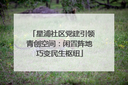 星浦社区党建引领青创空间：闲置阵地巧变民生枢纽