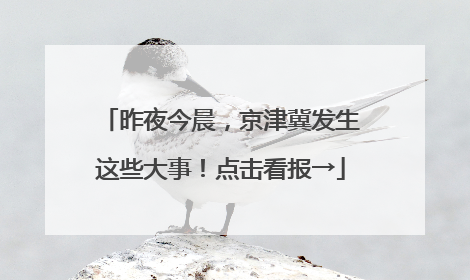昨夜今晨，京津冀发生这些大事！点击看报→