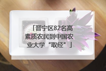 晋宁区82名高素质农民到中国农业大学“取经”