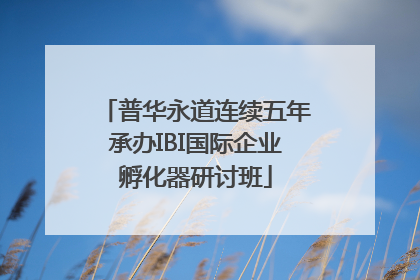 普华永道连续五年承办IBI国际企业孵化器研讨班
