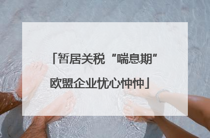 暂居关税“喘息期” 欧盟企业忧心忡忡