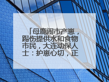 母鹿闹市产崽，踢伤提供水和食物市民，大连动保人士：护崽心切，正在想法送回山里