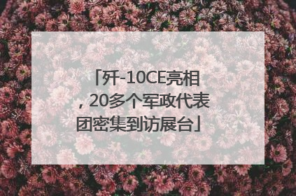 歼-10CE亮相，20多个军政代表团密集到访展台