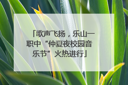 歌声飞扬，乐山一职中“仲夏夜校园音乐节”火热进行